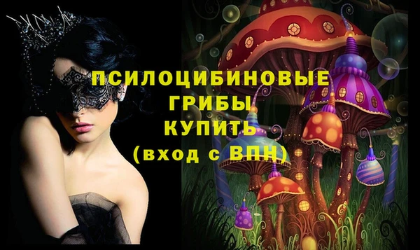 ECSTASY Алексин