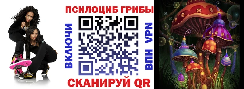 продажа наркотиков  Брянск  Псилоцибиновые грибы Magic Shrooms 